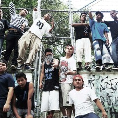 THE PINCHE BHIASER 7SIDE