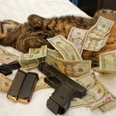 TRAP CAT =^..^=