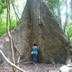 Kelly Andrea Gonzales