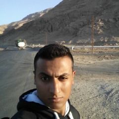 Mostafa Ibrahim Mohamed