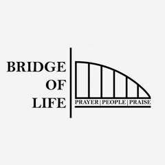 bridgeoflife