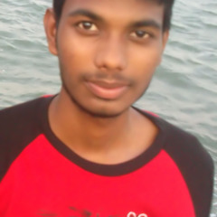 Steef Ane