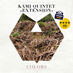 is kami extension free