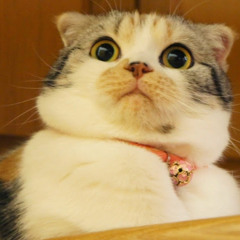 Kevin Gates - Scars (Live From Bread Winner Mountain).mp3