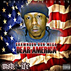ShawnDon Don Mega