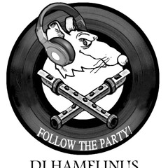 DjHamelinus
