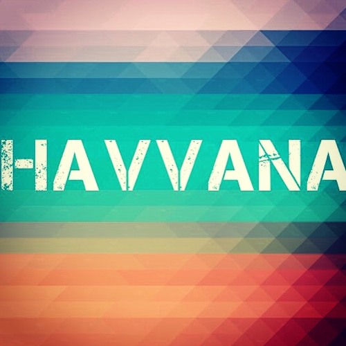 DJ Havvana’s avatar