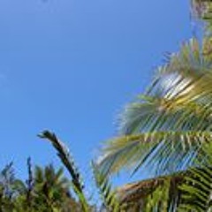 disco not disco tracks