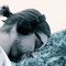 Dennis Knob (Dubmodel|Utique Rec.|Utique Digital)