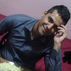 Sadeq Hasibi