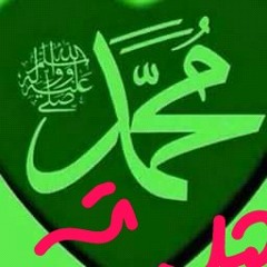 user930774824