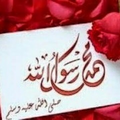 Amr_elbadry