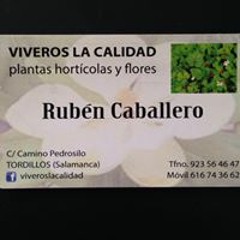 Viveros la Calidad