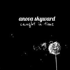 Anova Skyward