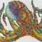 Rob the Octopus