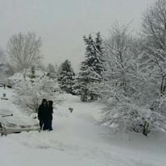 Alexander M. Cheikin