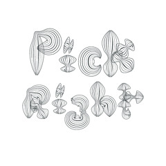 Pick Right