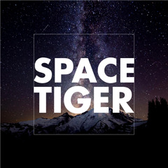 SPACE TIGER