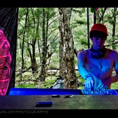 Psyland 2016