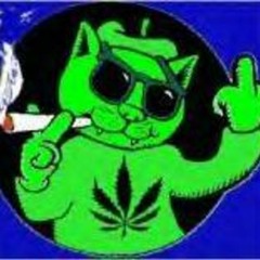 Pu$$y MoN€y W€€d
