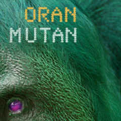 oranmutan