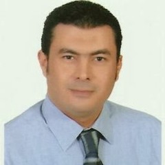 Amr Mostafa