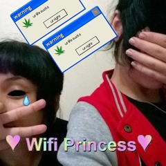 WIFI PRINCESS