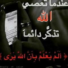 user566032729