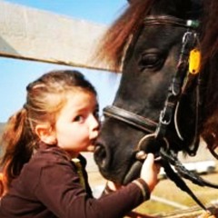 user806509002