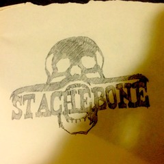 Stachebone
