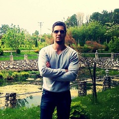 Djordje Gajic