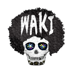 Dj WaKI