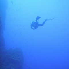 Snorkeling Rapa Nui