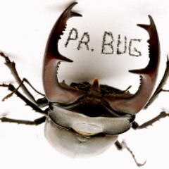 pr.bug