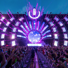 The chaperone DJCJRA