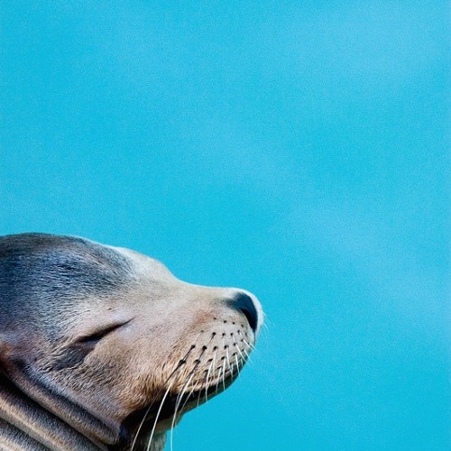 Bwola Djs S Stream On Soundcloud Hear The World S Sounds soundcloud