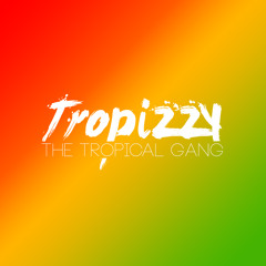 Tropizzy Inc.