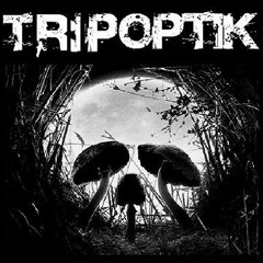 Tripoptik DJTeam