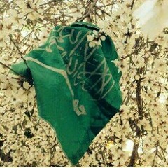 ربا أحمد حسين