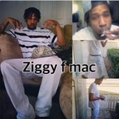 Ziggy F Mac