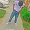 Polo D Rosee