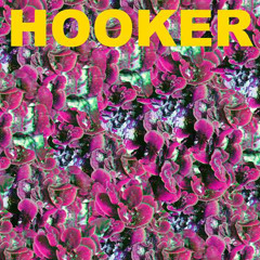 Hooker