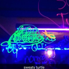 sweatyturtle