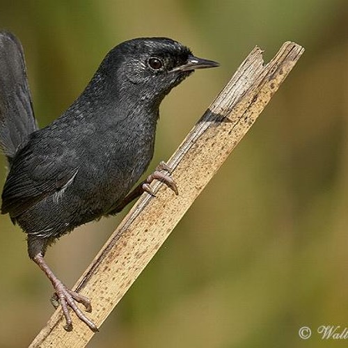 Preludio Para Un Barco