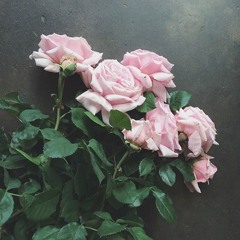 الرقية الشرعية الكامله محمد صديق المنشاوي.mp3