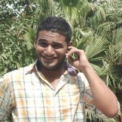 user431019589