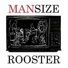 Mansize rooster