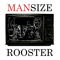 Mansize rooster