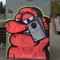 DS skate