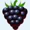 Blackberry